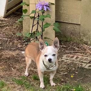 Meet your Posher, Nancy